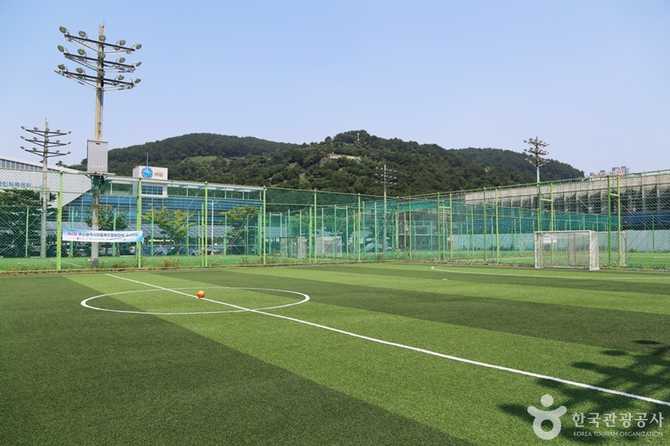 Discover Busan's Baegunpo Sports Park - image 11