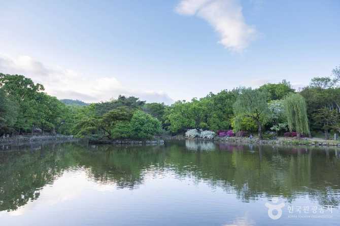 창경궁 역사와 복원 현황, 방문 정보까지 한눈에 보기 11