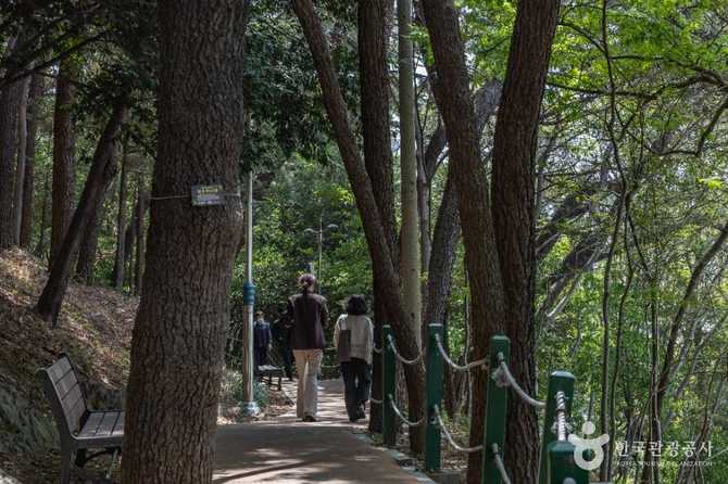 부산진성공원 안내와 방문 정보: 부산 동구의 역사와 자연을 만나다 16