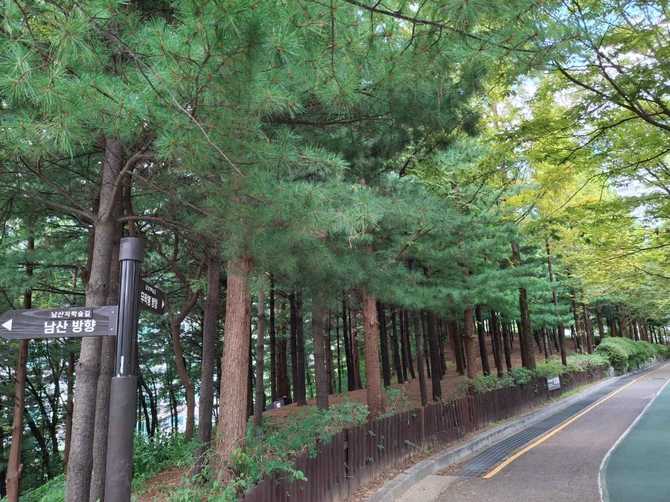 서울 성동구 대현산배수지공원과 모노레일 이용 가이드 8
