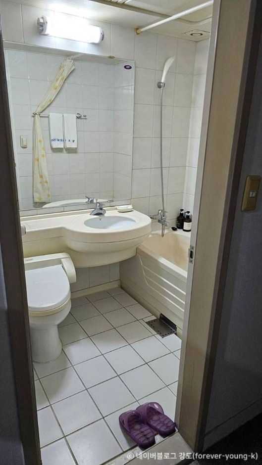 Busan Central Hotel - image 9