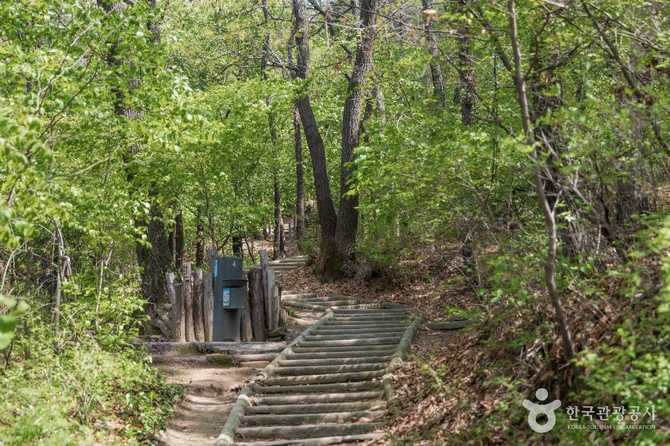 Discover Odong Neighborhood Park in - image 7