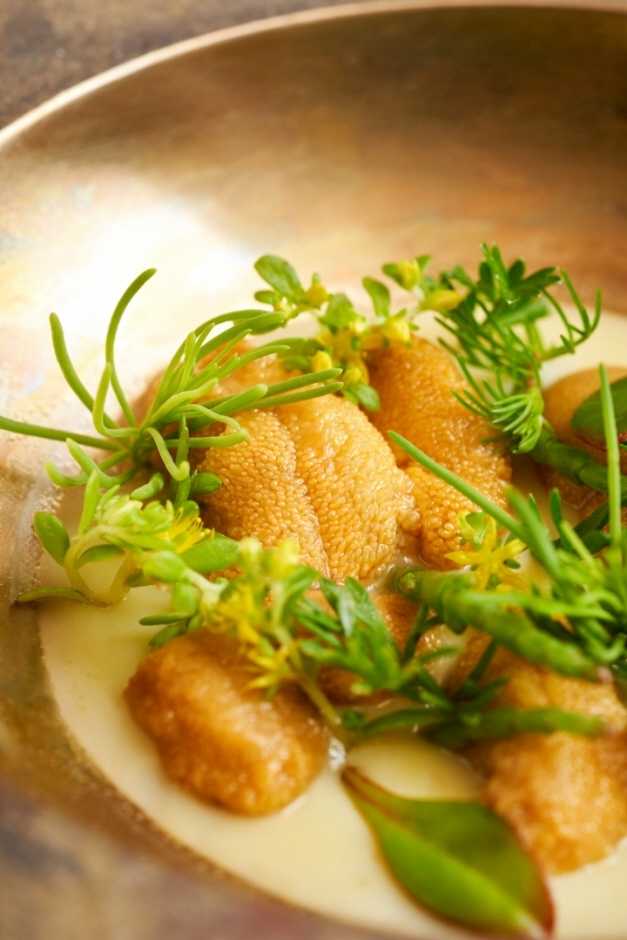 Experience Modern Korean Cuisine at - image 7