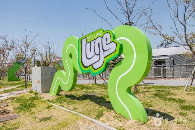 부산 스카이라인 루지 체험 가이드: 가족과 함께하는 오시리아의 인기 어드벤처 7