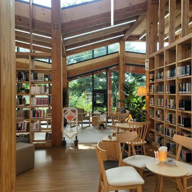 Discover Odong Forest Library - image 15