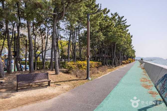 Discover Signo Park - image 10