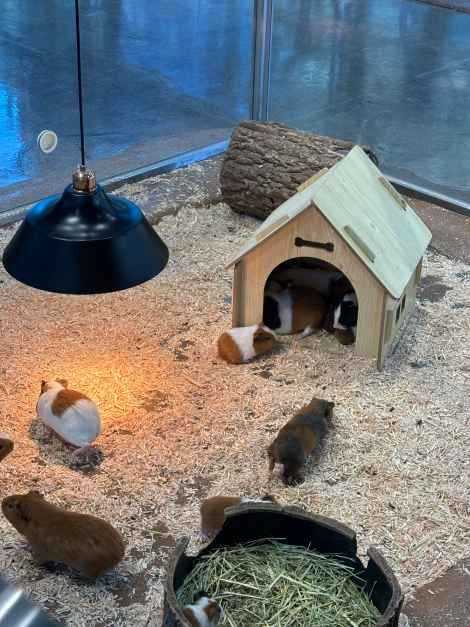 울산 울주군 와글와글 동물원 안내 및 체험 프로그램 정보 19