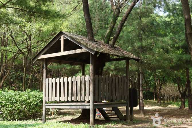 Experience Nature at Seoul's World - image 13