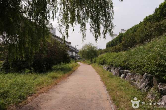 청계8경 버들습지: 자연과 생태를 만나는 서울의 숨은 명소 9
