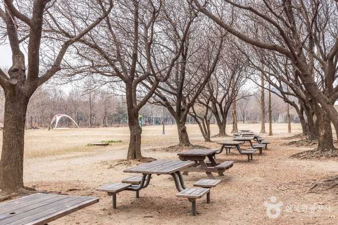 Explore Seoul Forest - image 19