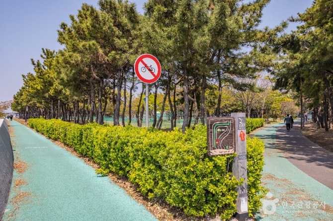 Discover Signo Park - image 9