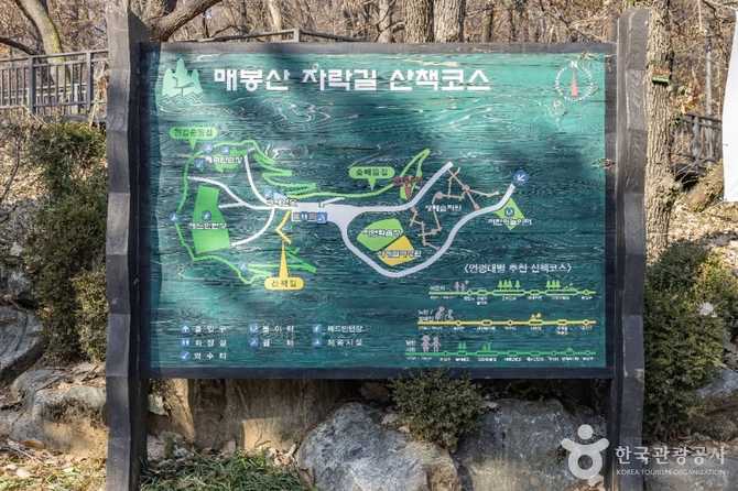 구로구 온수공원 자연공원 정보와 방문 가이드 10