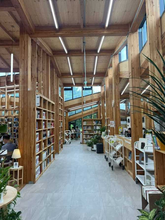 Discover Odong Forest Library - image 18