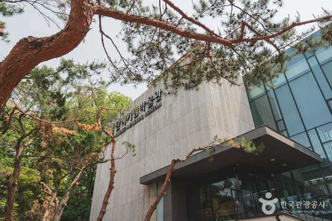 탄허기념불교박물관: 불교와 인문학이 어우러진 문화의 공간 1