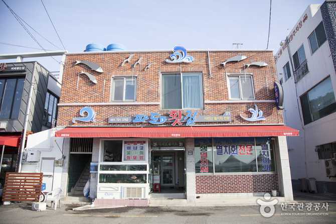 부산 기장 대변항 파도횟집 자연산회 맛집 추천