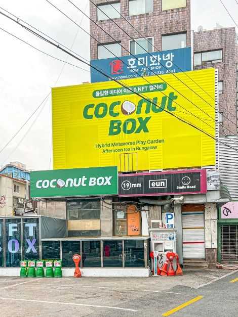 홍대 코코넛박스 베이커리 카페: 이국적 분위기와 신선한 디저트 즐기기