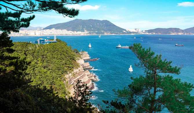 Experience the Best of Busan - image 12