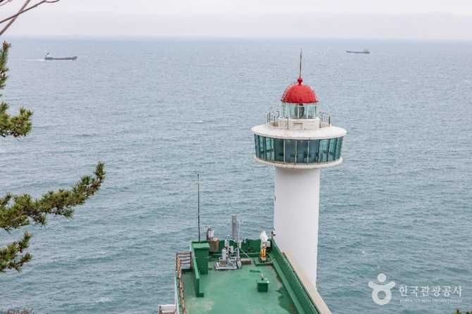 Discover Yeongdo Lighthouse - image 12