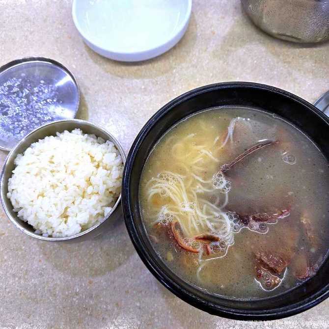 30년 전통 영동설렁탕 맛집 가이드: 잠원동 대표 설렁탕 전문점 2
