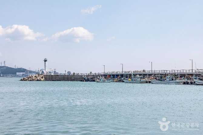 부산 기장군 칠암항 야구 등대와 자연 명소 여행 가이드 3