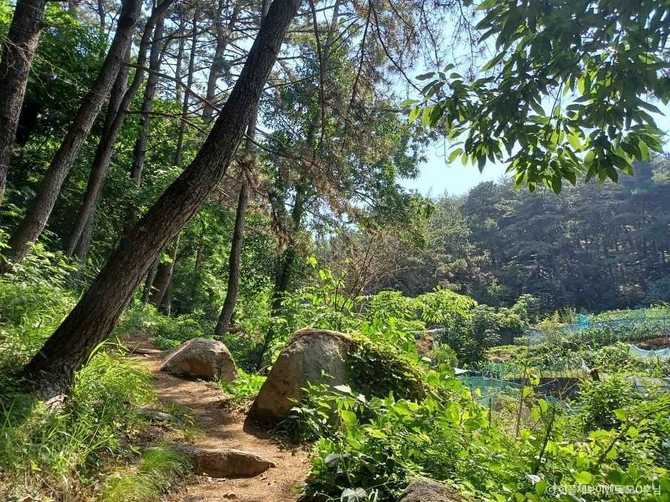 부산 북구 금곡동 율리 바위그늘유적의 선사시대 문화유산과 발굴 성과 3