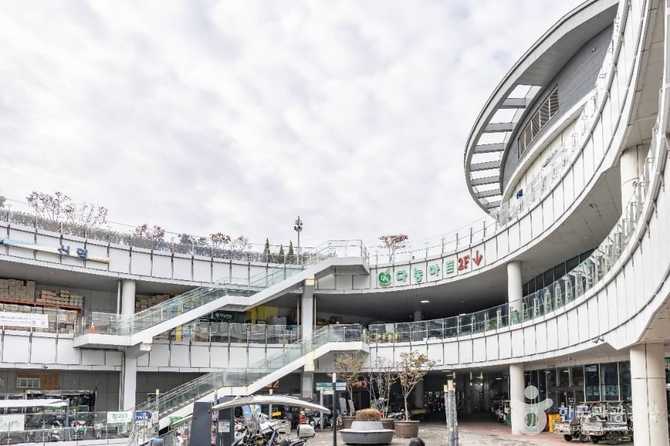 가락몰: 송파구 대표 농수산물 쇼핑센터 안내와 이용 정보 12