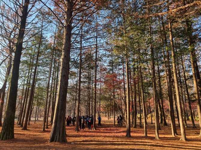 서울둘레길 10코스 우면산길 가이드와 여행 정보 7