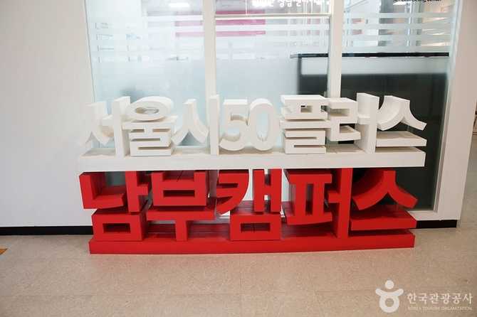 서울 구로구 50플러스수영장 이용 안내와 프로그램 정보 5