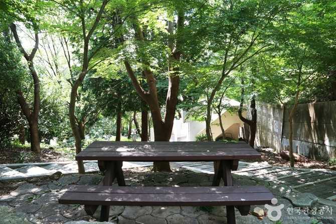 부산 황령산레포츠공원 안내와 자연 속 스포츠 즐기기 5