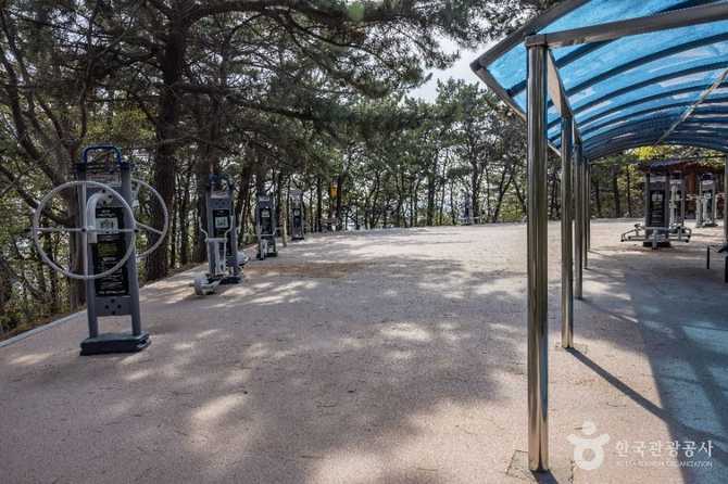 Discover Busan Eden Park - image 5
