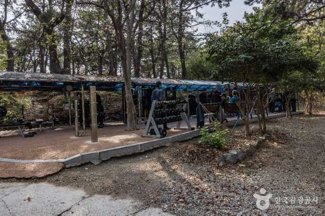 Discover Busan Eden Park - image 8
