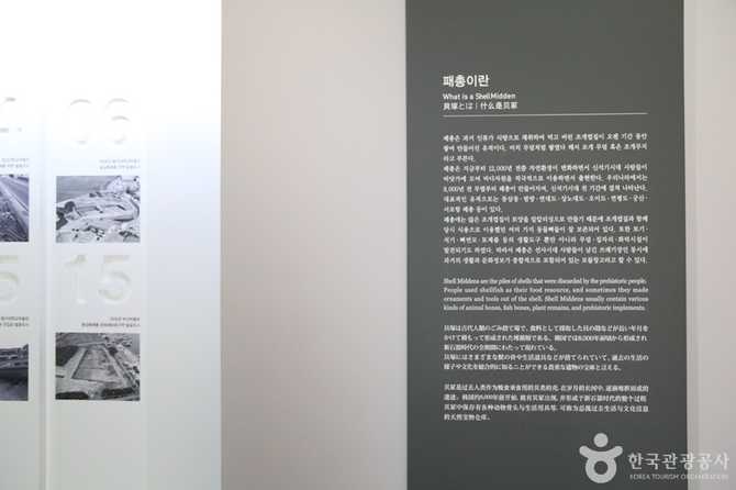 부산 동삼동패총전시관: 신석기시대 유물과 역사교육의 중심지 20