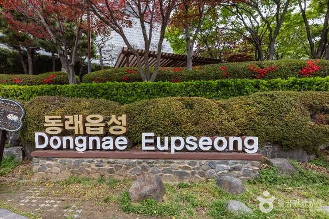 부산 동래읍성지: 역사와 자연이 어우러진 문화유산 탐방 가이드 10