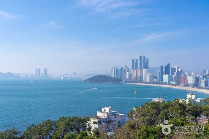 부산 해운대 해파랑길 2코스 가이드: 숲길과 해안 걷기 추천 코스
