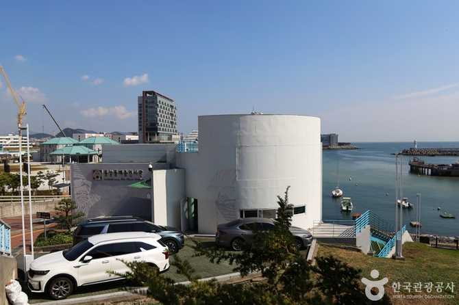 Explore the Busan Dongsam - image 7