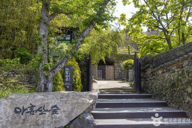 부산 기장 아홉산숲 자연생태 체험과 방문 정보