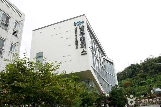 50 Plus Swimming Pool in - image 1