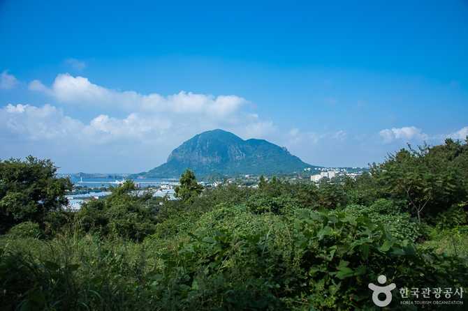 제주 안덕 월라봉: 자연과 역사를 동시에 즐기는 명소 1