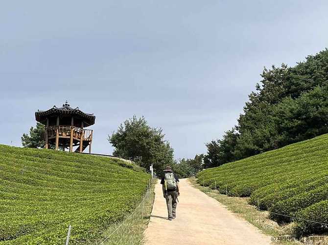 지리산둘레길 원부춘-가탄 구간 가이드 및 트레킹 정보 1