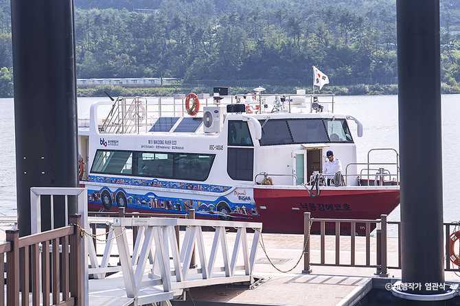 Experience the Nakdong River Eco - image 2