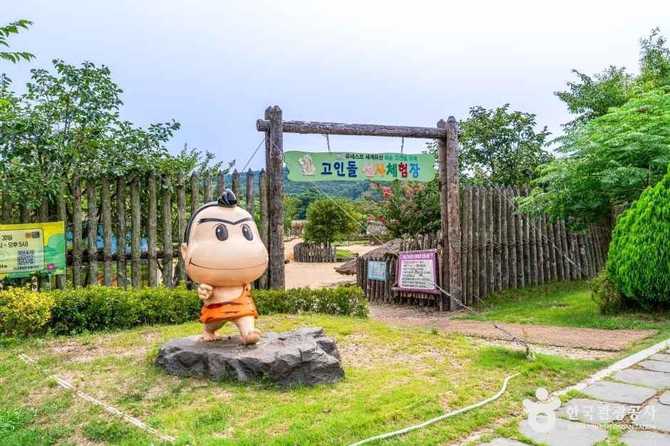 화순 고인돌선사체험장: 선사시대 체험과 교육의 명소