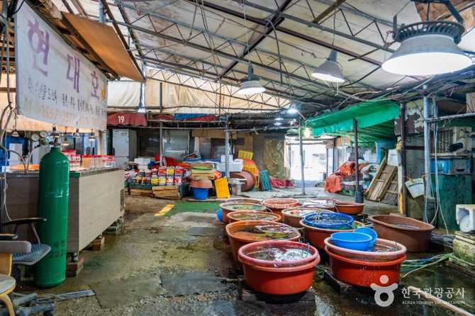 Discover the Charm of Seonchang - image 1