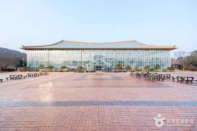 화성시 우리꽃식물원 가볼 만한 곳, 사계절 식물 관람과 체험 프로그램 추천