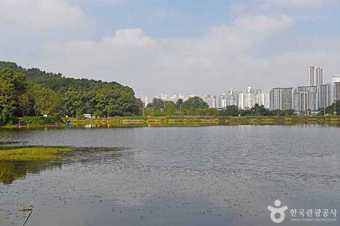 경기도 화성시 장지저수지 자연환경과 방문 정보
