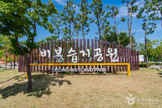 경기도 화성시 비봉습지공원 자연생태 체험과 조류 관찰 명소