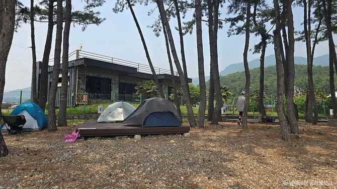 남해 월포해수욕장 야영장 가이드: 자연과 함께하는 캠핑 명소