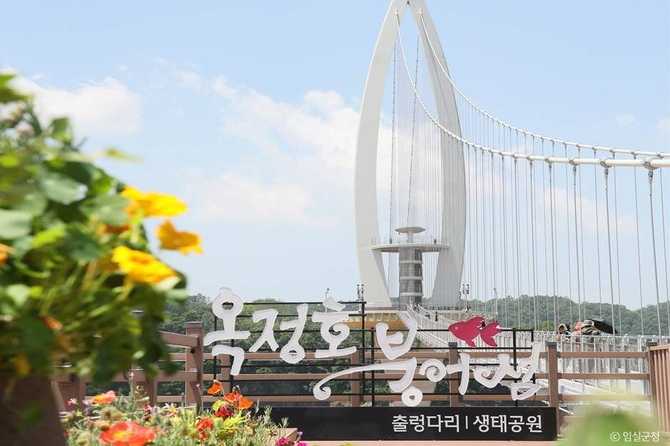 임실군 옥정호 출렁다리와 붕어섬생태공원 안내