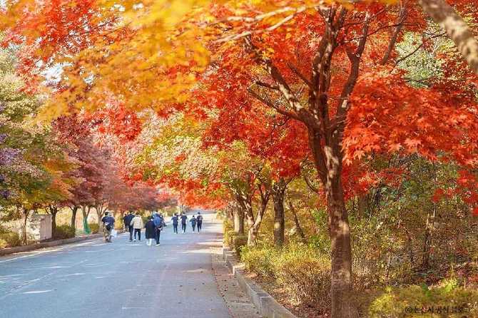 대둔산도립공원 자연경관과 산행 정보 | 대둔산도립공원(논산) 자연경관과 산행 정보