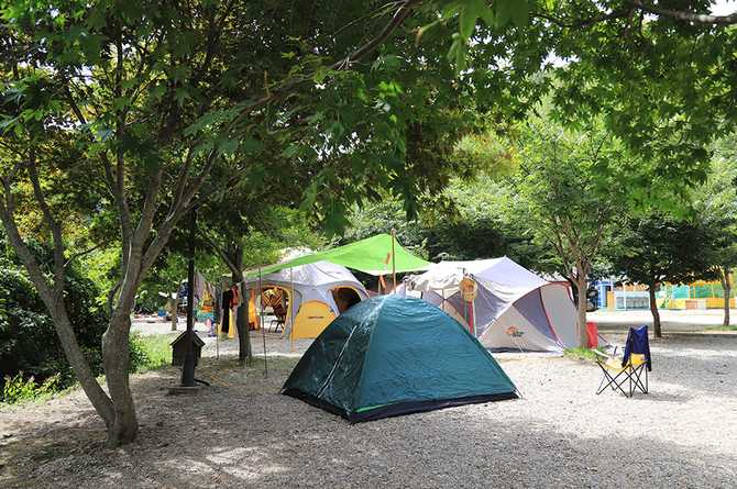 Discover the Best Camping Experience - image 3