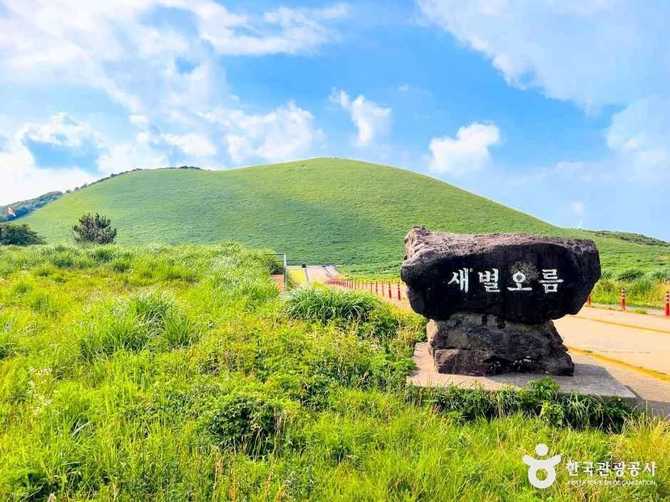 제주 새별오름 가이드: 자연 풍경과 여행 정보 한눈에